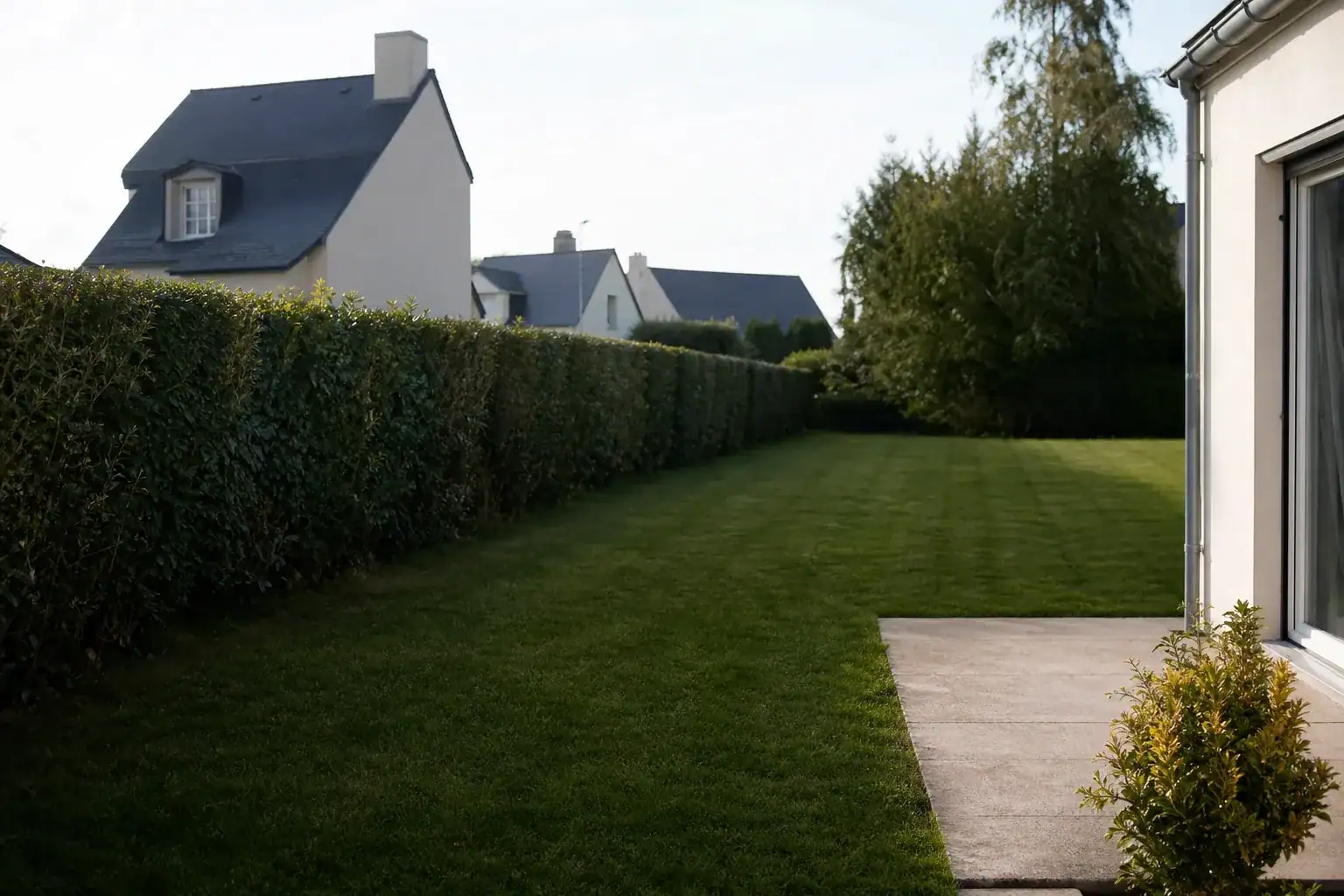 Jardin de pavillon à Trégueux, pelouse dense fraîchement tondue bordée d'une haie mitoyenne taillée bien droite, ambiance calme de lotissement lumineux, cadrage à hauteur du regard montrant l'alignement des haies entre parcelles.