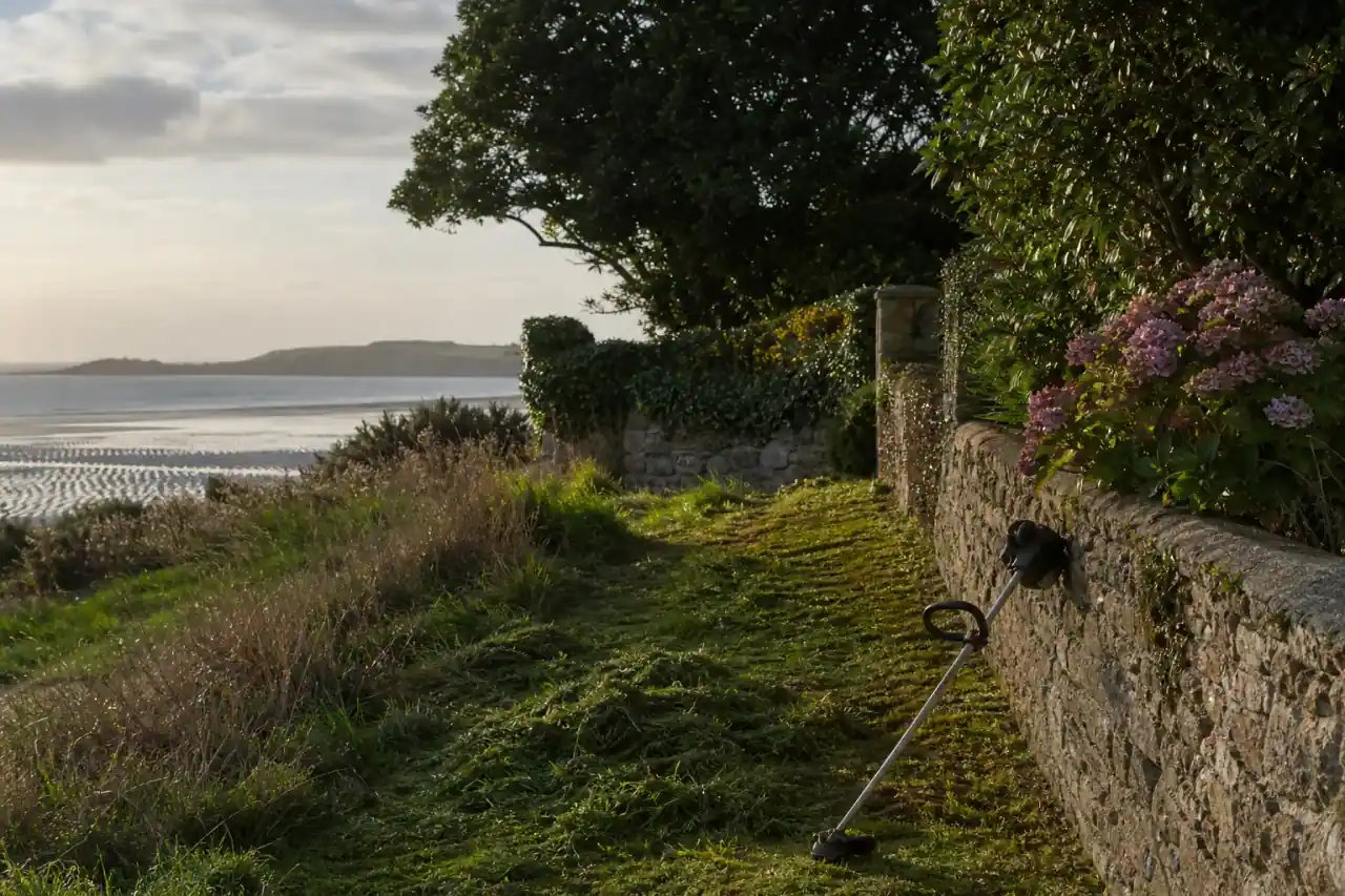 Finition au rotofil le long d'un mur de pierre et d'un massif d'hortensias dans un jardin briochin, herbe coupée soufflée en tas, lumière de fin de journée sur la baie.