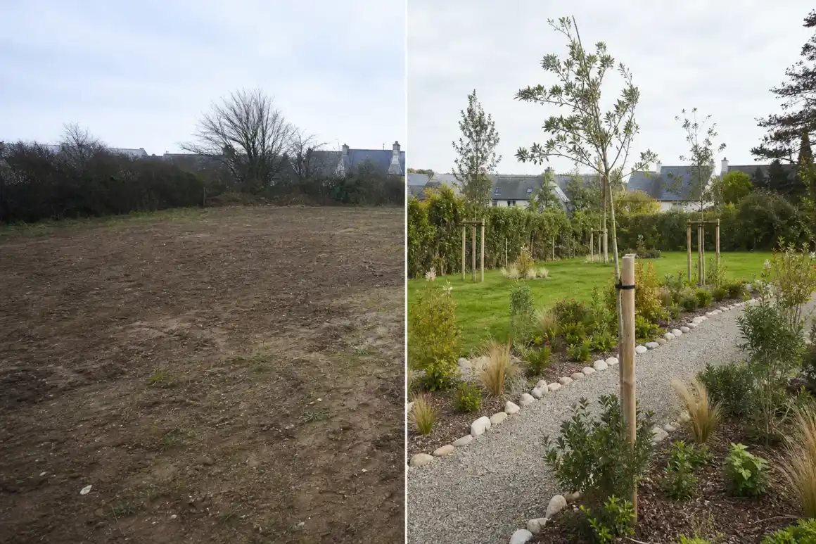 Photo avant-après d'un terrain nu de plateau briochin transformé en jardin structuré, avec haie brise-vent, allée et jeunes arbres adaptés au vent d'ouest.
