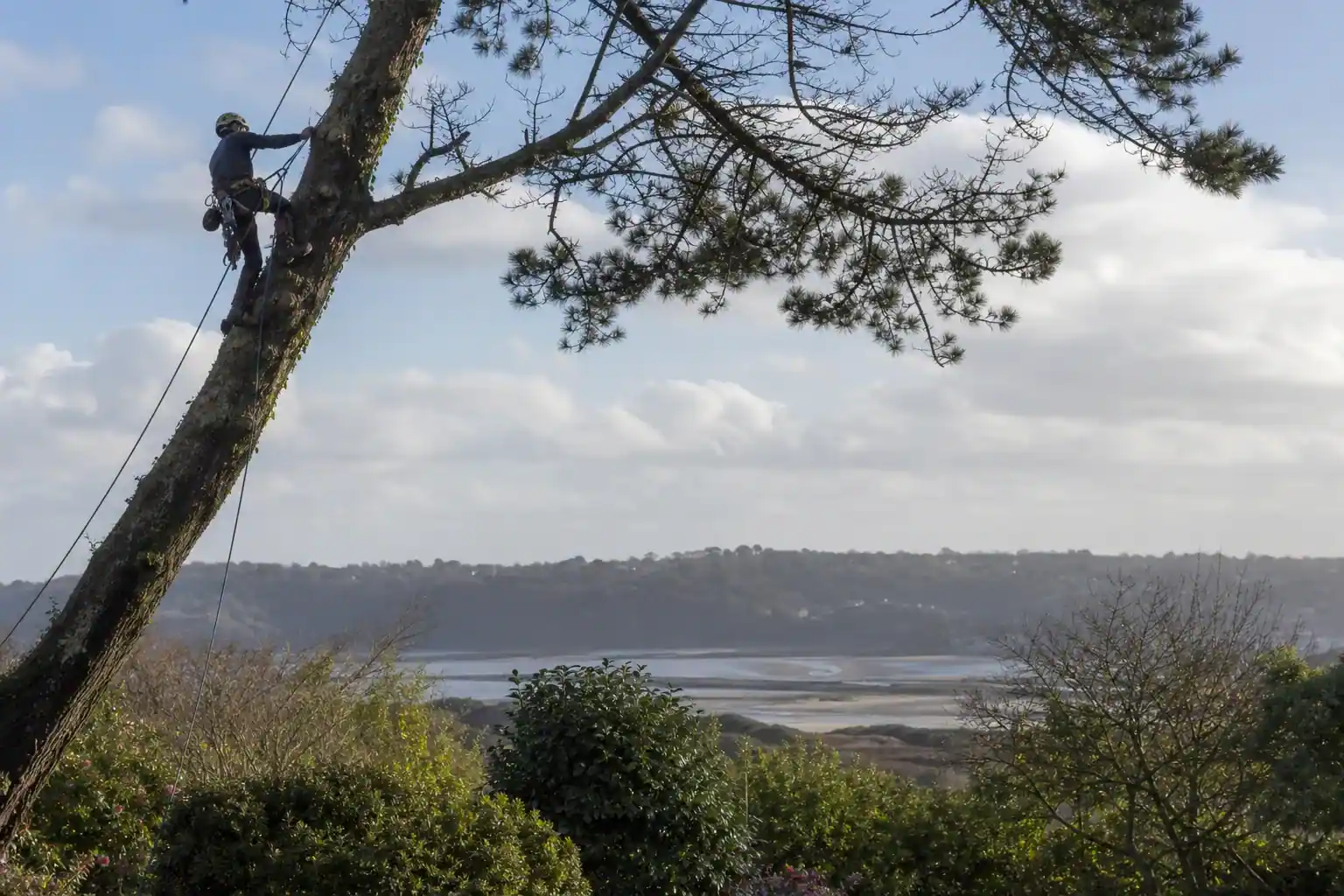 Élagueur encordé taillant un grand arbre penché par le vent au-dessus d'un jardin de Saint-Brieuc, vallée du Gouët en contrebas, ciel breton lumineux et venté, lumière basse de bord de mer.