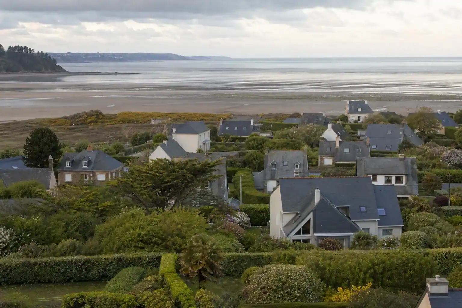 Vue aérienne basse d'un quartier pavillonnaire de la couronne de Saint-Brieuc : jardins verts contigus, haies taillées qui tiennent au vent, la baie de Saint-Brieuc et son estran en arrière-plan, lumière salée de fin d'après-midi.