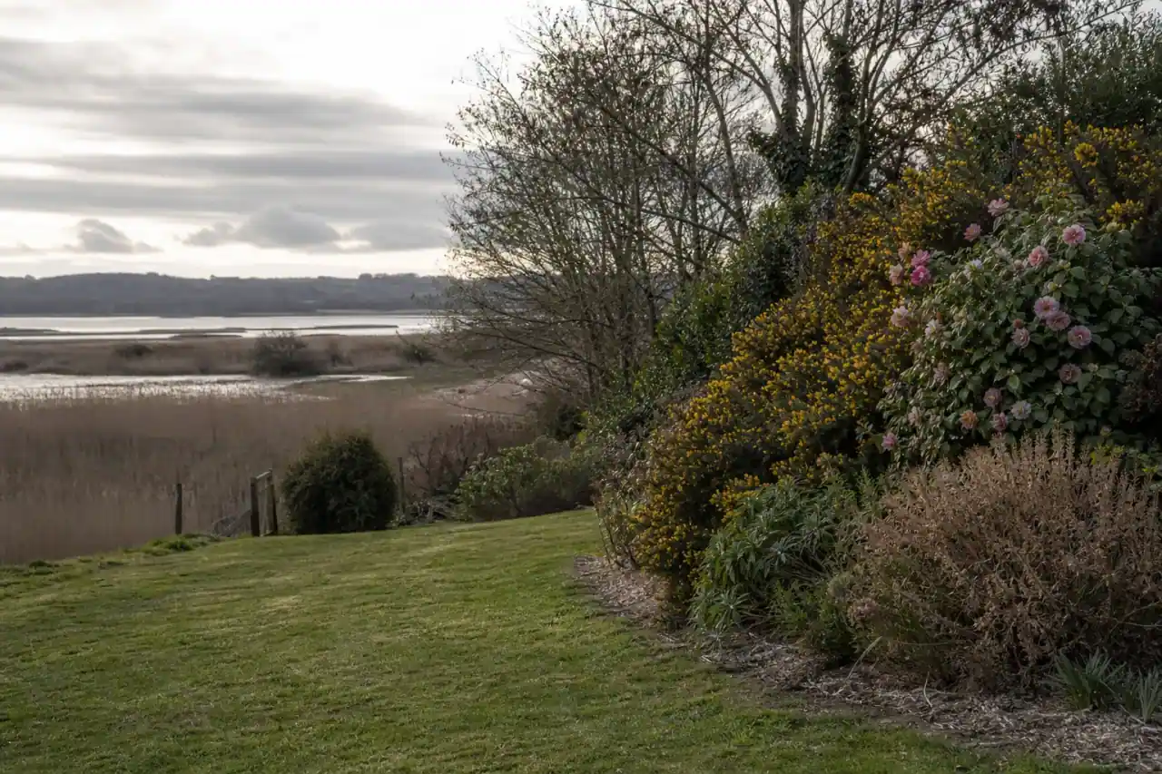 Jardin de particulier à Yffiniac près des terres basses, pelouse fraîche et bordure débroussaillée au contact d'un fond humide, lumière tamisée de fond de baie, roseaux et marais devinés en arrière-plan, cadrage large et horizontal.