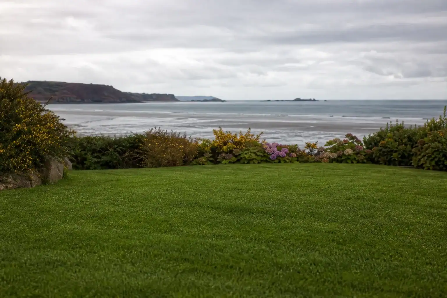 Photo d'une pelouse fraîchement posée dans un jardin de la baie de Saint-Brieuc, herbe dense et régulière, horizon marin en arrière-plan et lumière douce et ventée de bord de mer.