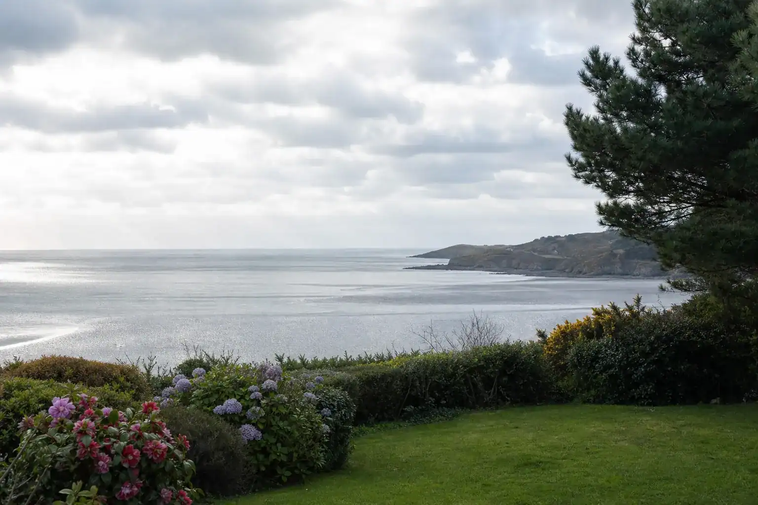Jardin de particulier en bord de mer à Plérin, pelouse et haie brise-vent face à l'horizon de la baie, lumière côtière argentée, falaises de la pointe du Roselier au loin, cadrage large ouvert sur la mer et le vent.