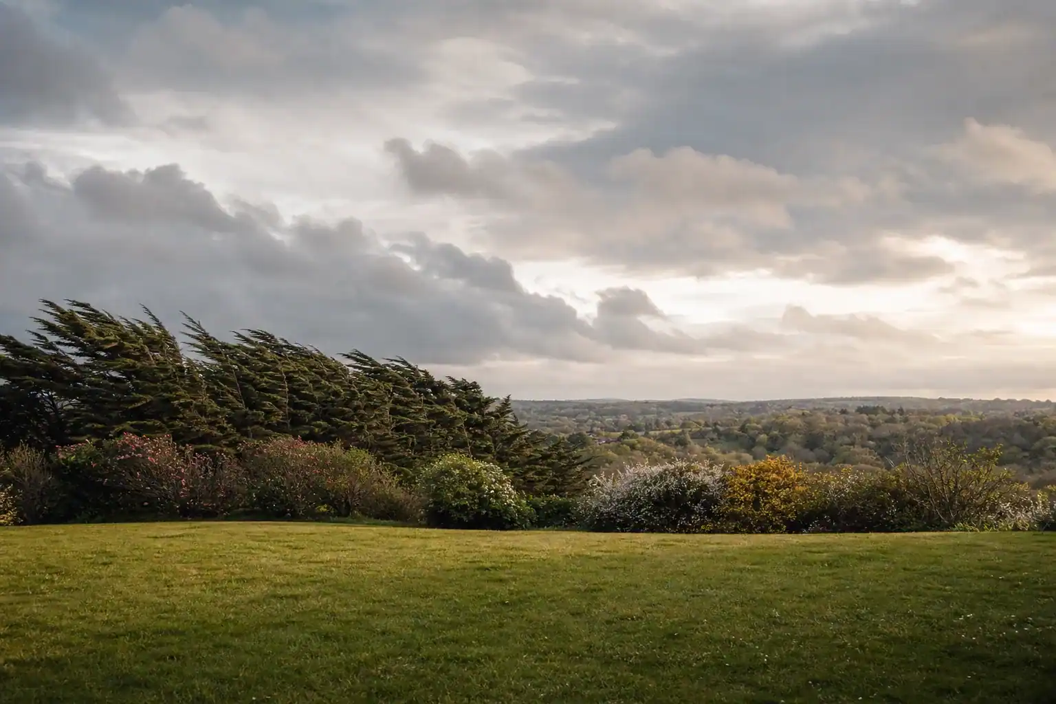 Jardin de particulier sur le plateau de Ploufragan, pelouse tondue et haie brise-vent dense penchée par le vent d'ouest, ciel large et lumineux, la vallée boisée du Gouët devinée en contrebas, cadrage large au ras de la pelouse.