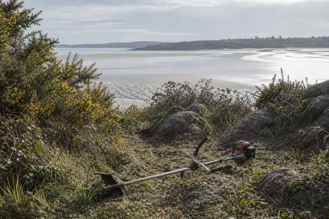 Terrain briochin en friche couvert d'ajoncs, de genêts et de ronces en cours de dégagement, jardinier avec débroussailleuse, plateau venté ouvert sur la baie de Saint-Brieuc, lumière océanique claire.