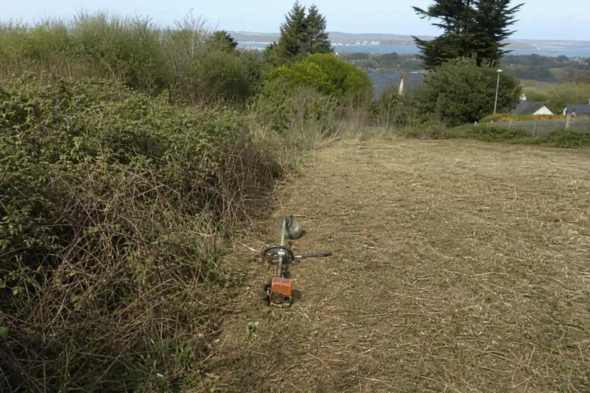 Fond de parcelle repris : à gauche ronces et friche, à droite terrain fauché et lisible prêt à être engazonné, débroussailleuse posée sur la ligne de partage.