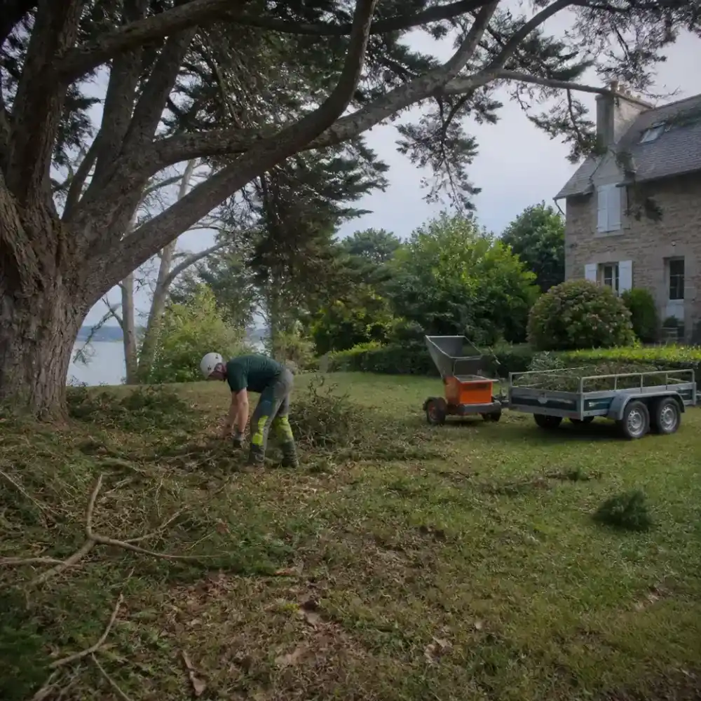 Jardinier ramassant des branches coupées au pied d'un arbre du littoral briochin, remorque de bois et broyeur posés à côté, massif d'hortensias visible près de la maison.